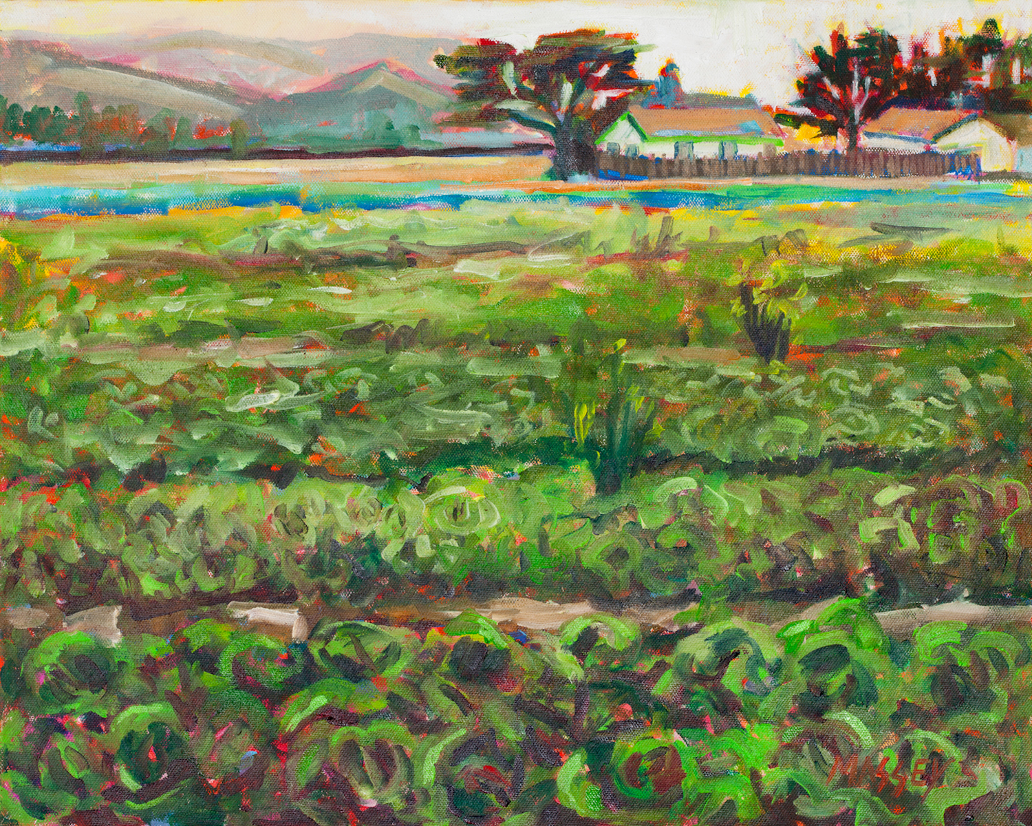 Radicchio Fields,plein air 16x20