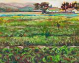 Radicchio Fields,plein air 16x20